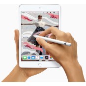 iPad Mini (3)